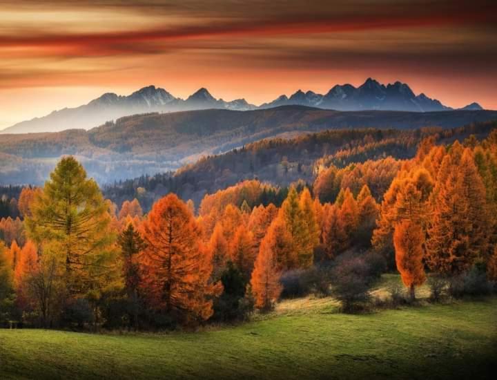 Tatry Panorama Apartmany Tatragolf 塔查斯卡-鲁穆尼卡 外观 照片